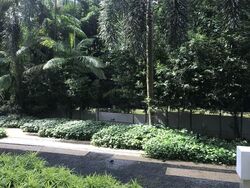 The Peak@Balmeg (D5), Condominium #596843721
